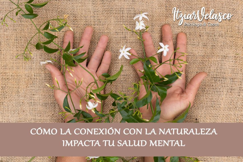 Cómo la conexión con la naturaleza impacta tu salud mental