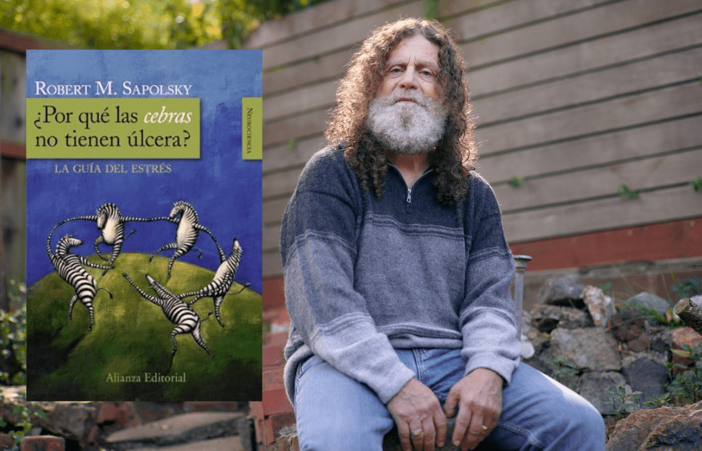 Robert Sapolsky y su teoría sobre el estrés crónico aplicada al burnout laboral